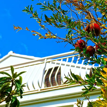 Martinovic Apartman *