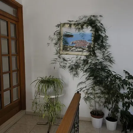 Martinovic Dubrovník
