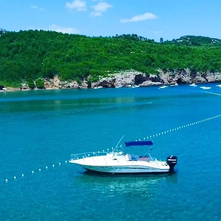 Martinovic Apartamento *