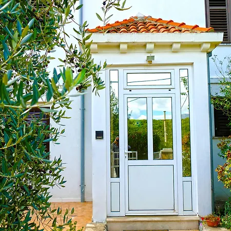 Apartment Martinovic