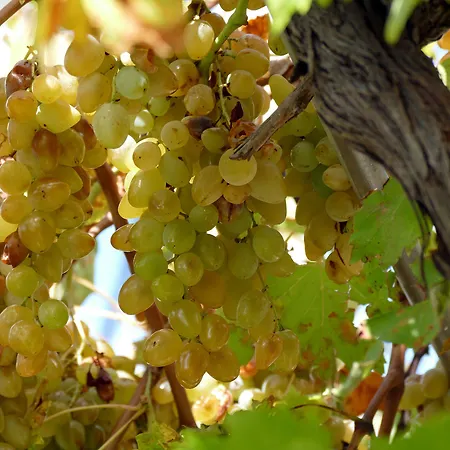 Martinovic Apartamento Dubrovnik