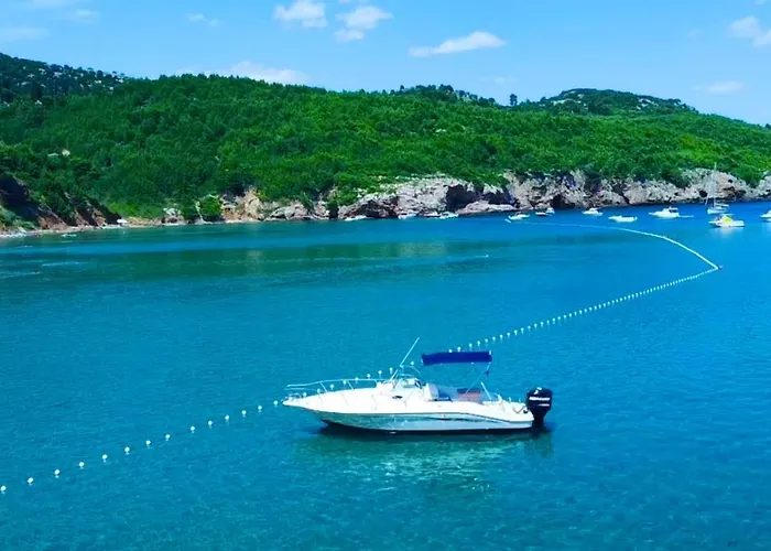 Martinovic Apartmán *