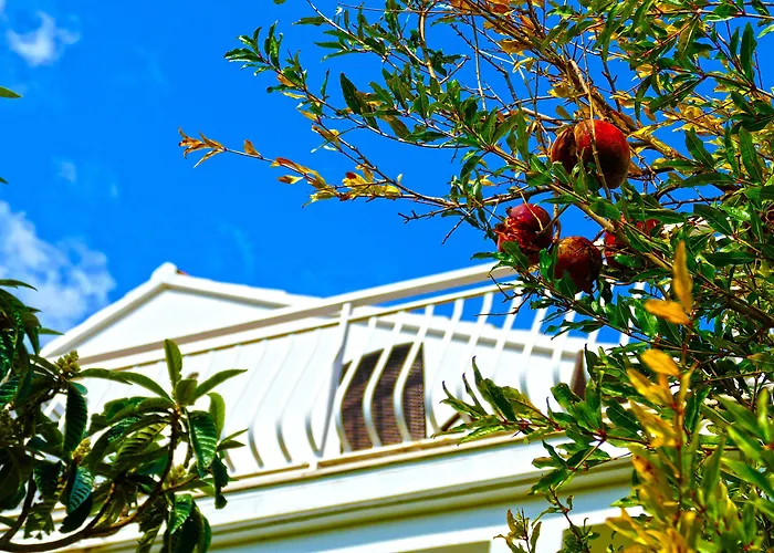 Martinovic Apartmán *